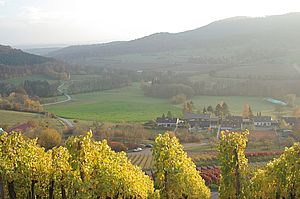 Blick ins Kirbachtal